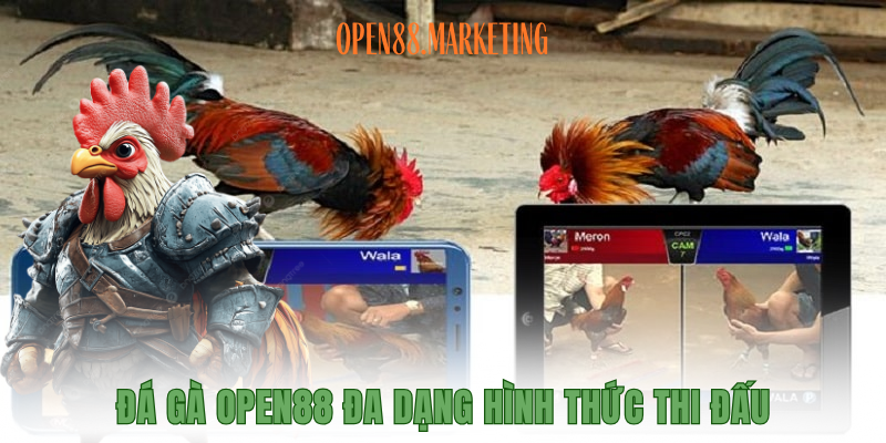 Đá gà OPEN88 đa dạng hình thức thi đấu