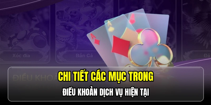Chi tiết các mục trong điều khoản dịch vụ hiện tại